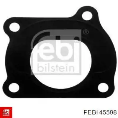 45598 Febi 