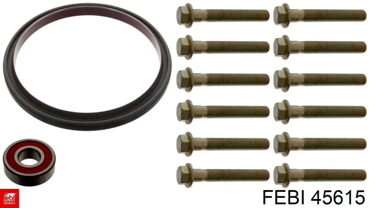 45615 Febi 