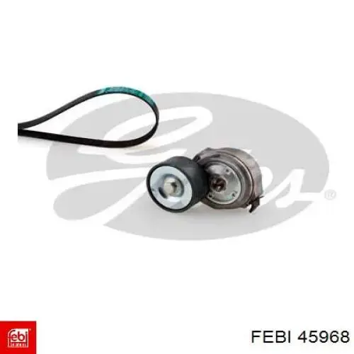 Correia dos conjuntos de transmissão, kit Febi 45968 preço, a partir de 186,79 USD