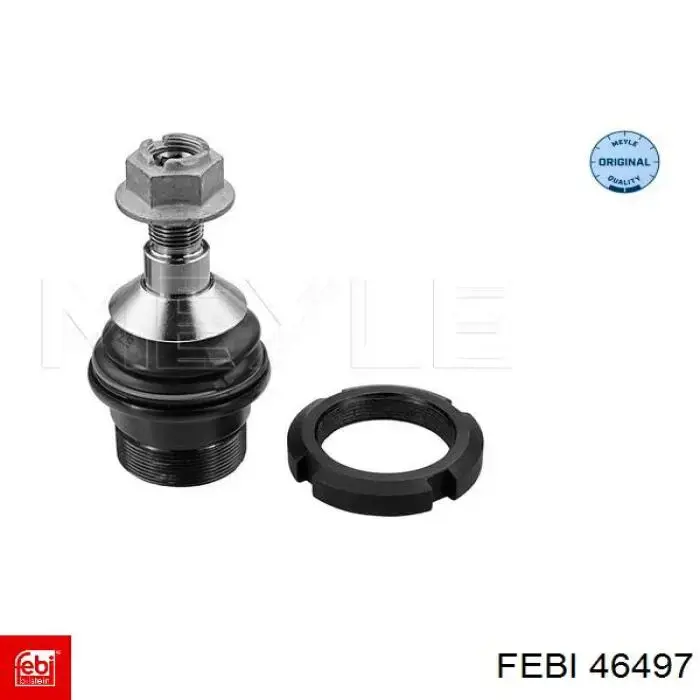 Compre 97806 Metalcaucho Mangueira superior do tanque de expansão