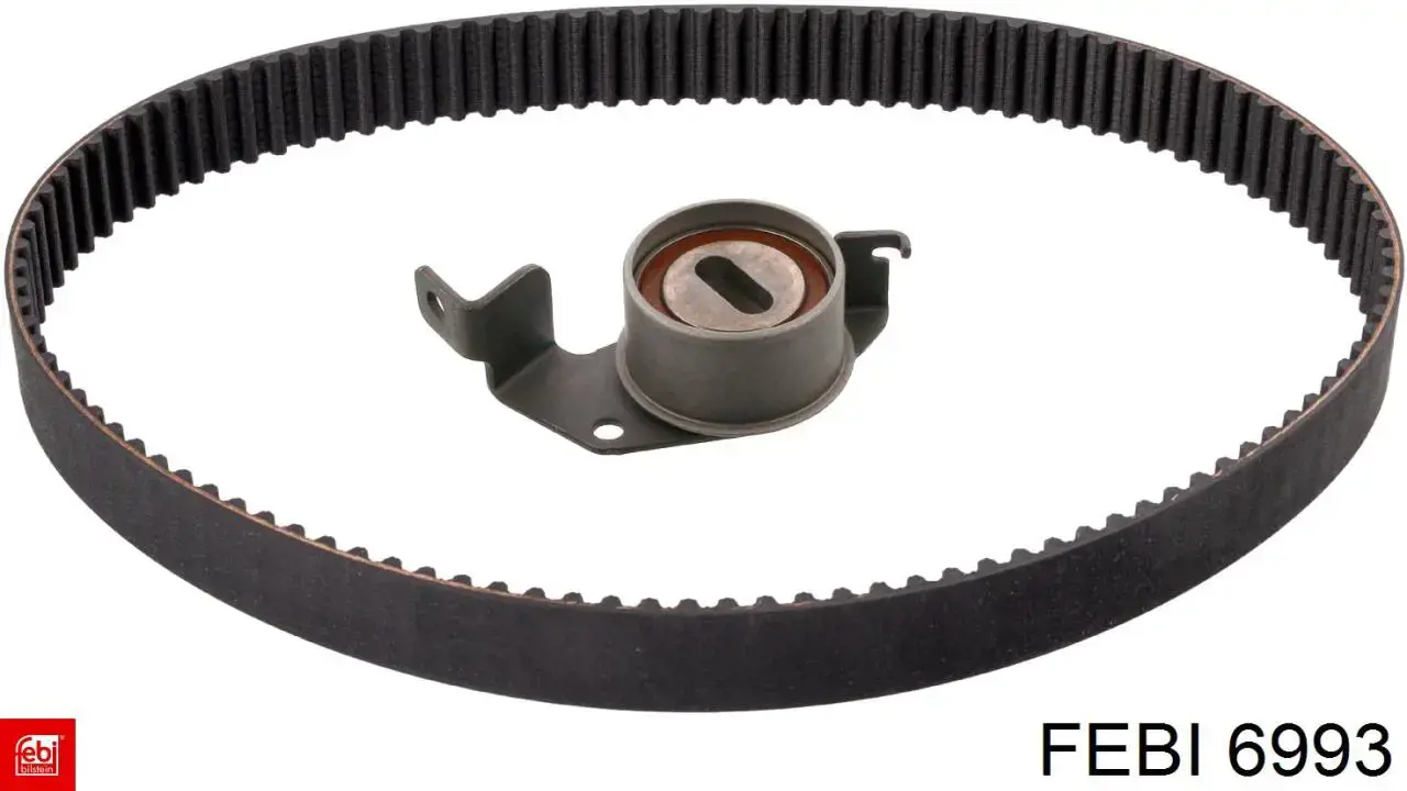 Compre 6993 Febi Ventilador elétrico de esfriamento montado (motor + roda de aletas)
