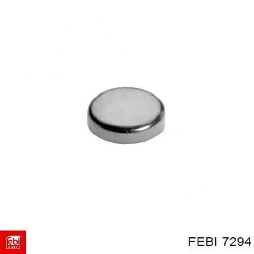 Tampão CBC/do bloco de cilindros Febi 7294