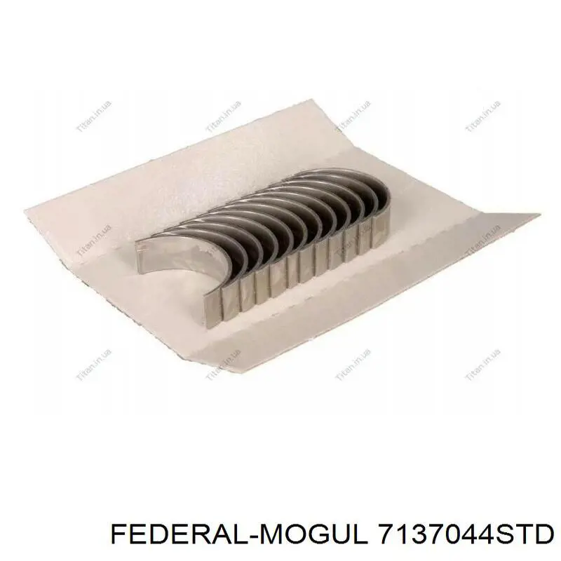 7137044STD Glyco Folhas inseridas de cambota de biela, kit, padrão (STD)