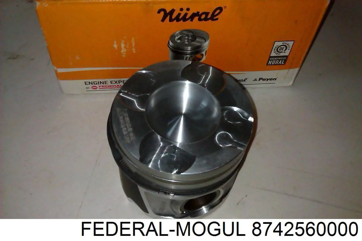 Pistão do kit para 1 cilindro, STD Fiat/Alfa/Lancia 55197996 preço, a partir de 99,97 USD