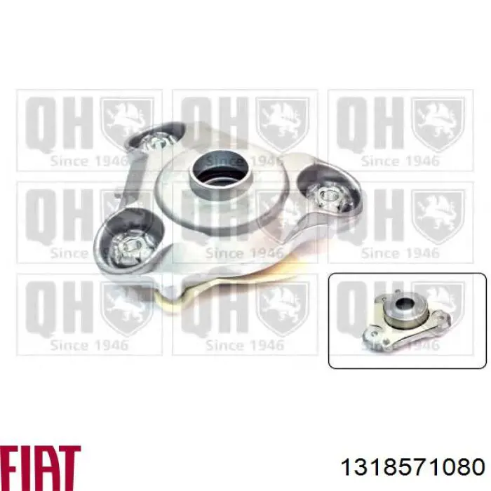 Compre 194501 Febi Suporte de amortecedor dianteiro direito