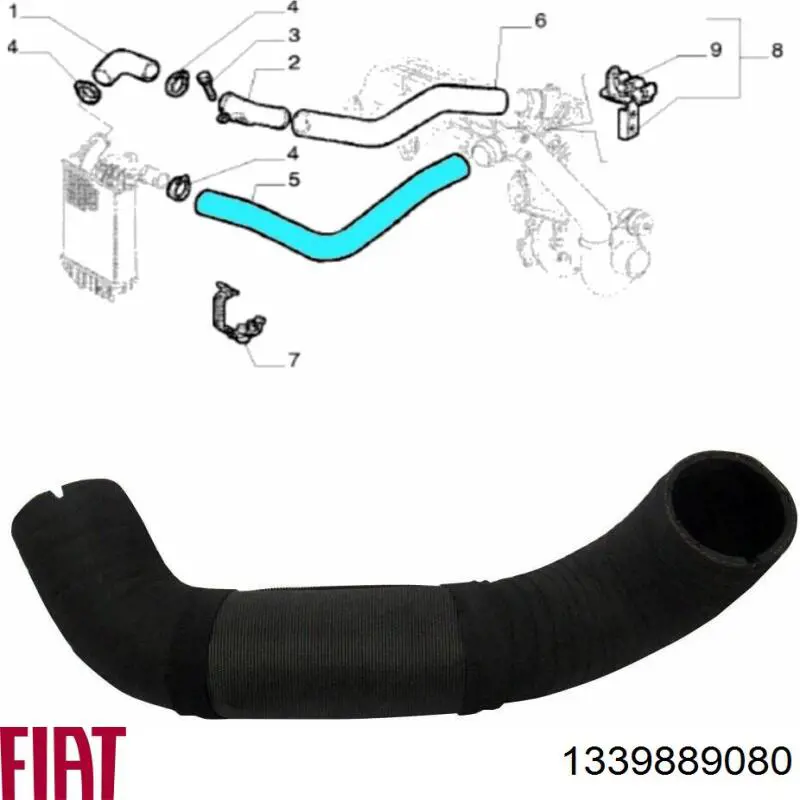 Mangueira (cano derivado) de intercooler 1339889080 Fiat/Alfa/Lancia