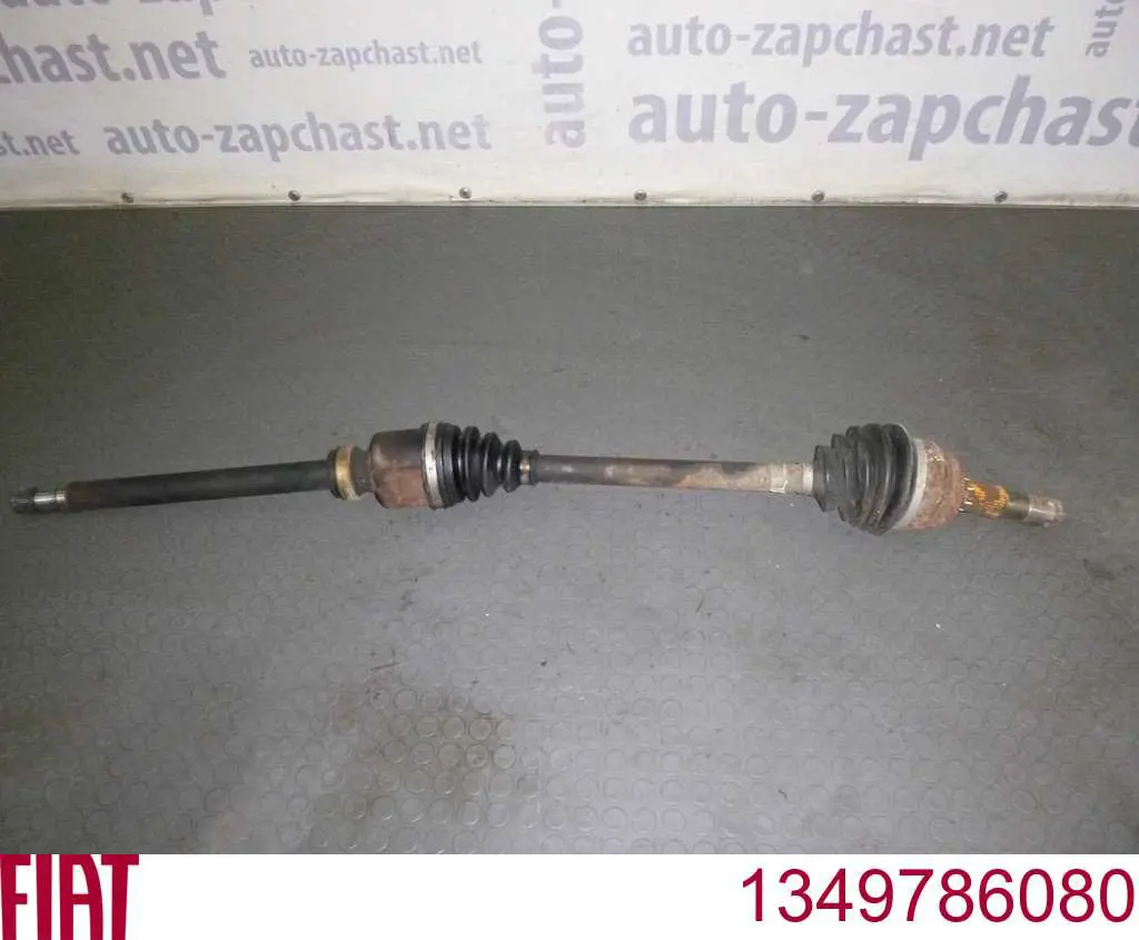 1349786080 Fiat/Alfa/Lancia Semieixo (acionador) dianteiro direito