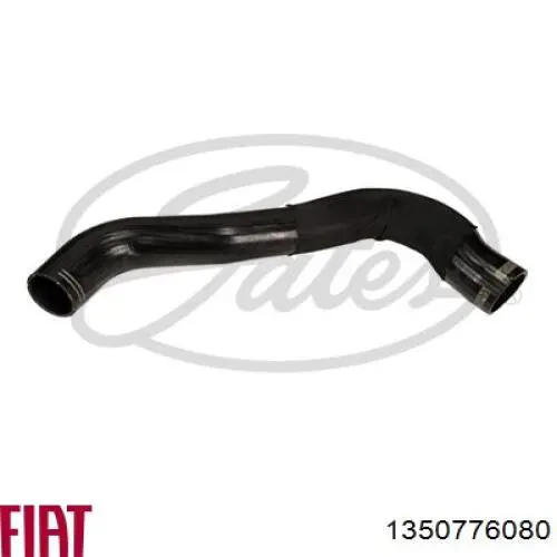 Compre 1350776080 Fiat/Alfa/Lancia Mangueira (cano derivado) de intercooler