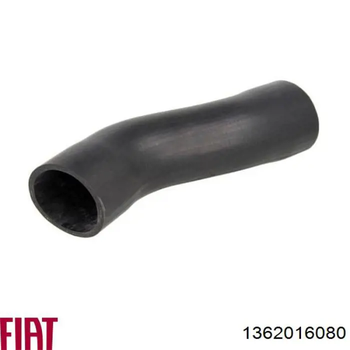 1362016080 Fiat/Alfa/Lancia Mangueira (cano derivado) de intercooler