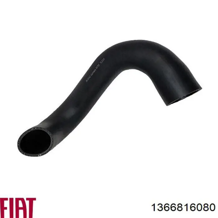 Compre 1366816080 Fiat/Alfa/Lancia Mangueira (cano derivado) de intercooler
