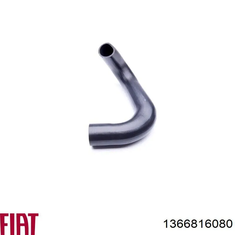 Mangueira (cano derivado) de intercooler 1366816080 Fiat/Alfa/Lancia