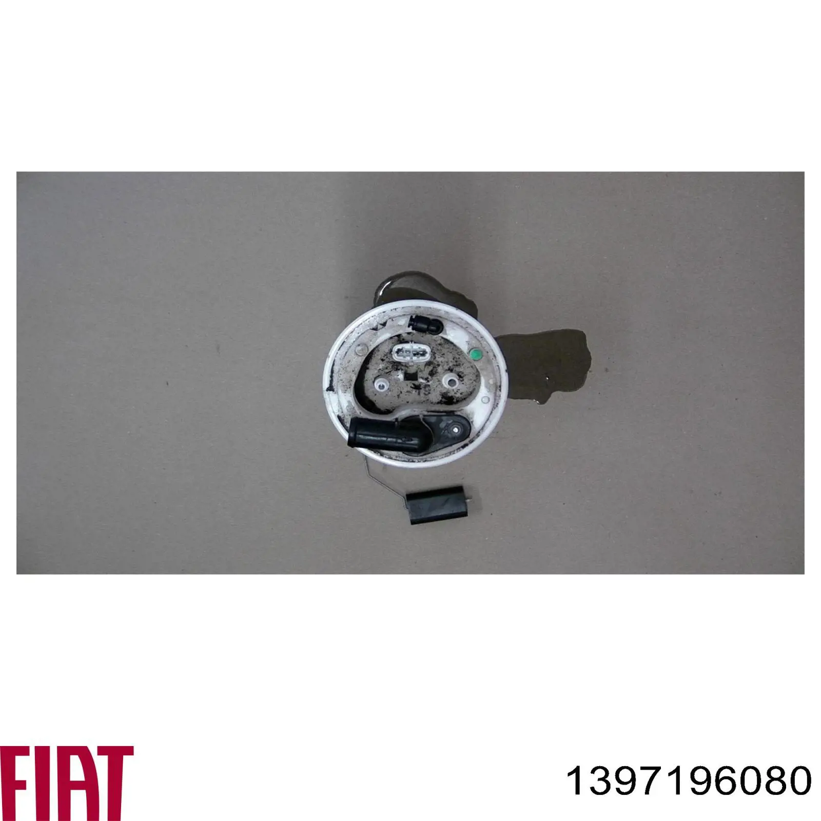 Compre 1350009080 Fiat/Alfa/Lancia Suspensão de lâminas traseiro