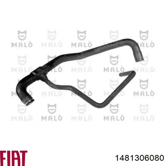 1481306080 Fiat/Alfa/Lancia Mangueira (cano derivado) inferior do radiador de esfriamento