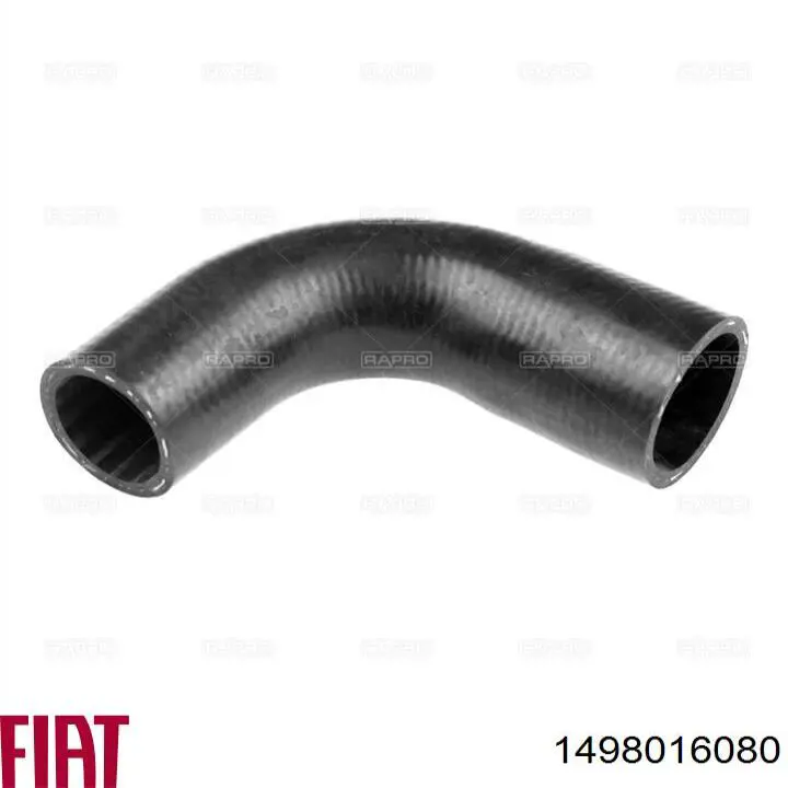 Mangueira (cano derivado) do radiador de esfriamento superior Fiat/Alfa/Lancia 1498016080 preço, a partir de 17,34 USD