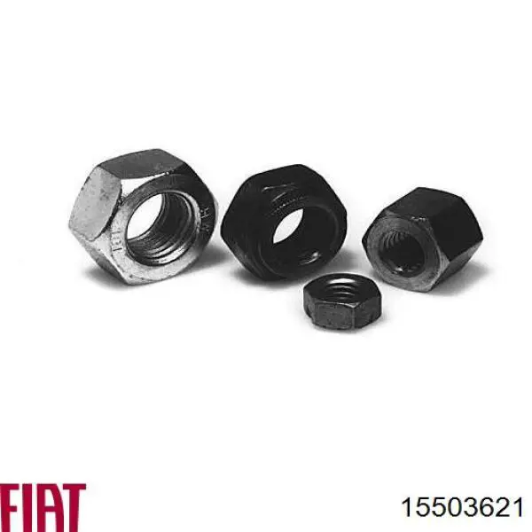 15503621 Fiat/Alfa/Lancia 
