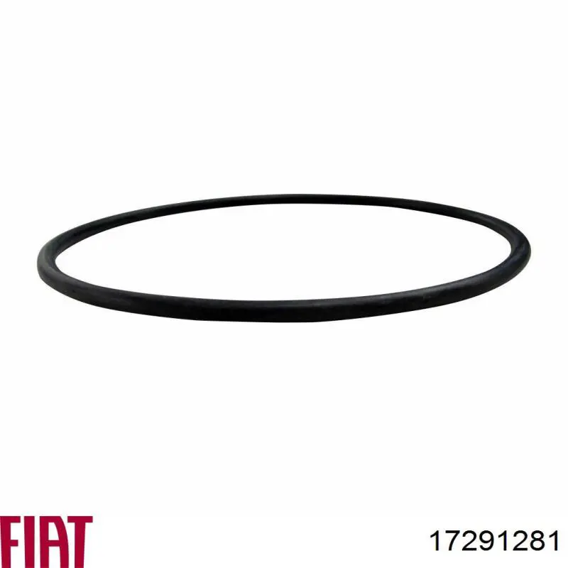 Bomba de água (bomba) de esfriamento Fiat/Alfa/Lancia 17291281 preço, a partir de 4,35 USD