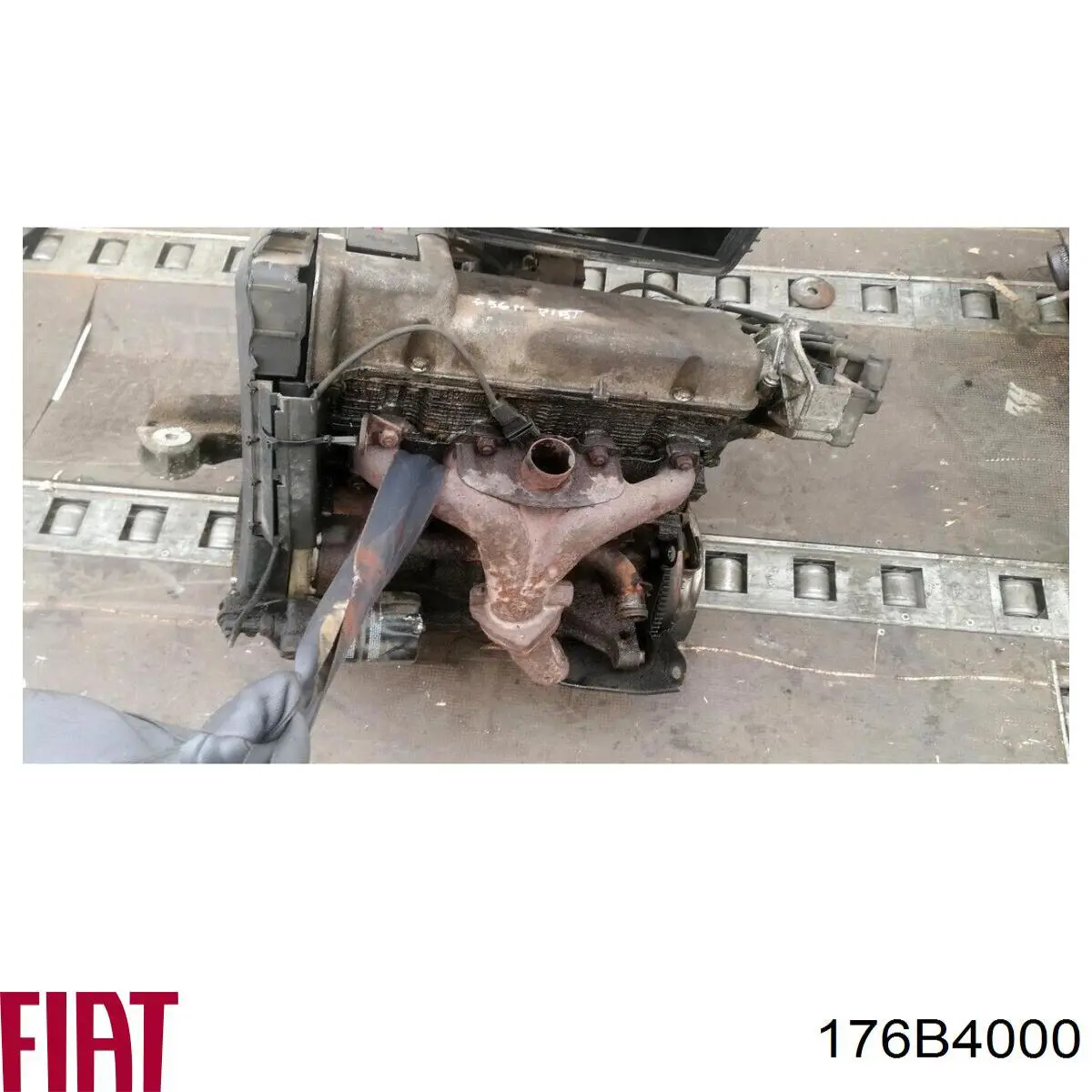 176B4000 Fiat/Alfa/Lancia Motor montado