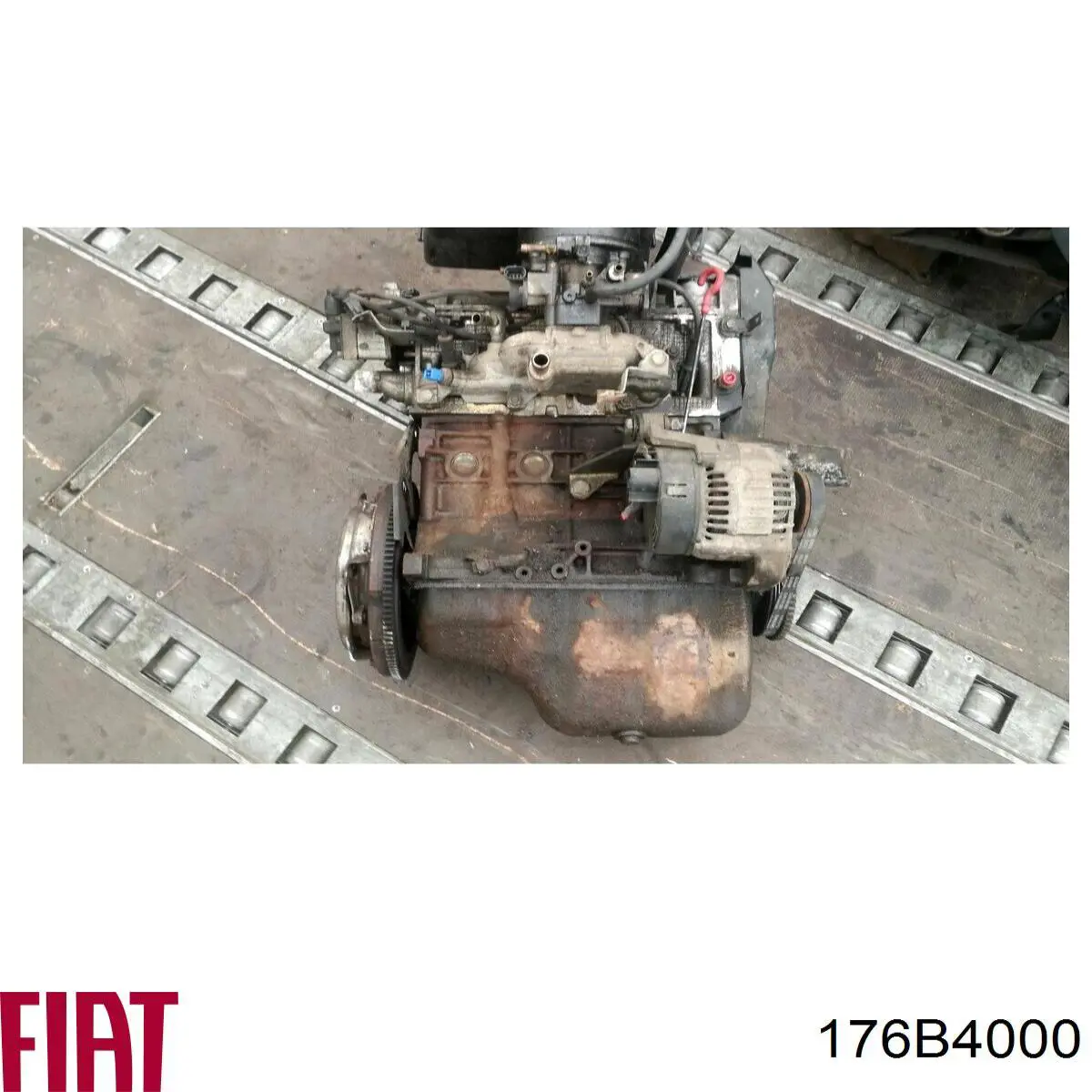 Motor montado Fiat/Alfa/Lancia 176B4000 preço, a partir de  USD