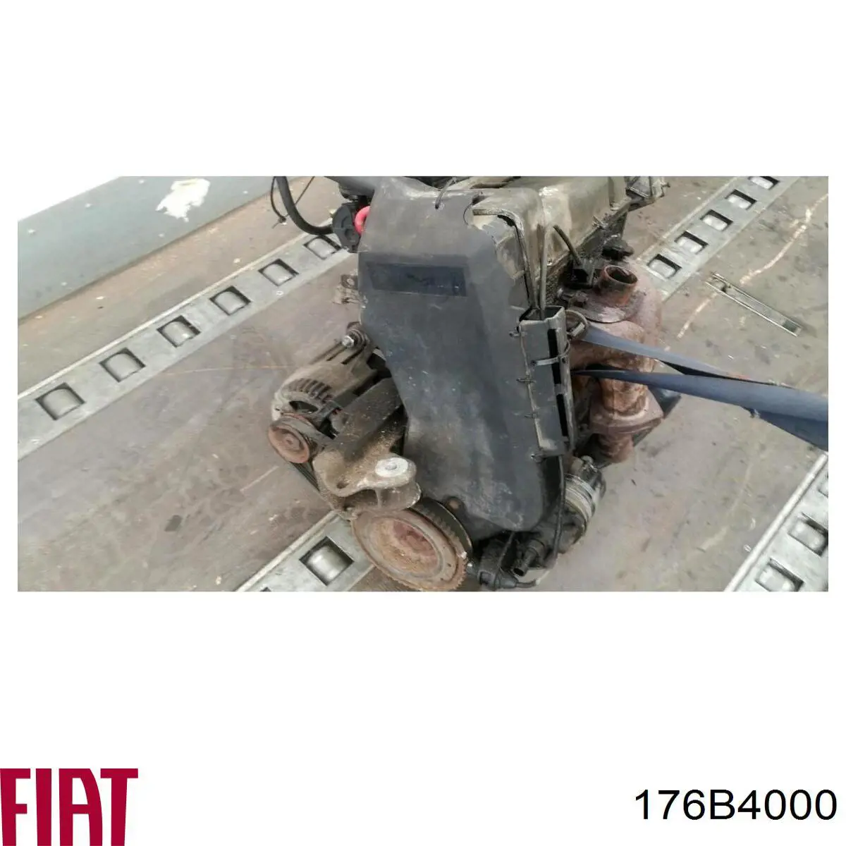 Compre 176B4000 Fiat/Alfa/Lancia Motor montado