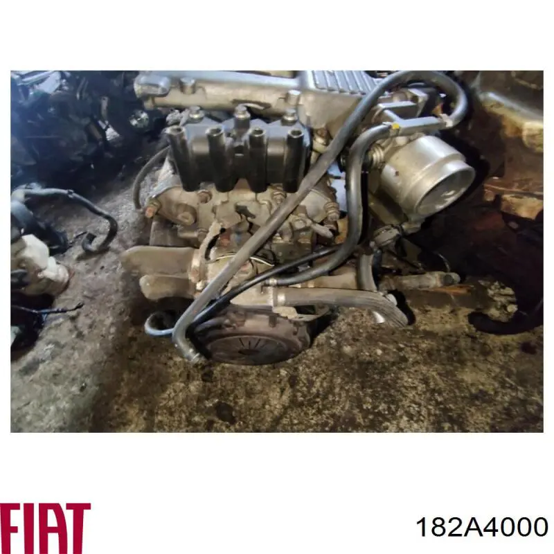 Compre 182A4000 Fiat/Alfa/Lancia Motor montado