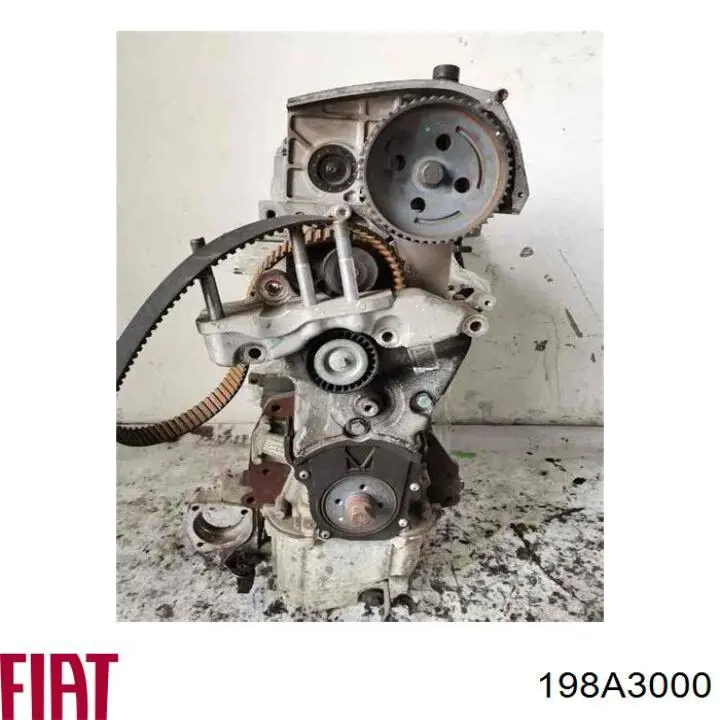 Compre 198A3000 Fiat/Alfa/Lancia Motor montado