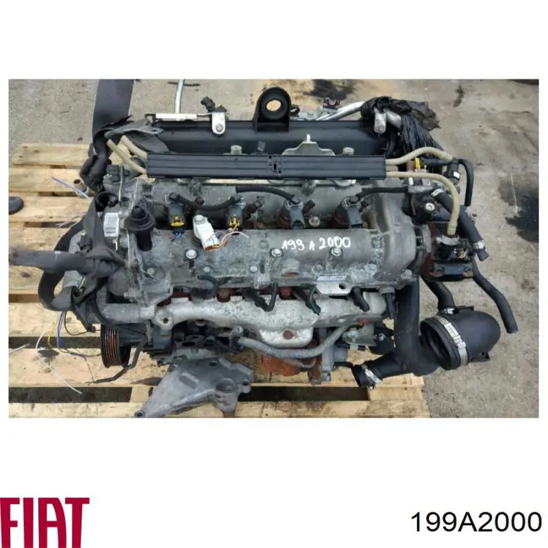 199A2000 Fiat/Alfa/Lancia Motor montado