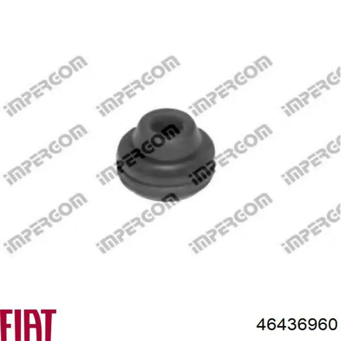 Compre 46436960 Fiat/Alfa/Lancia Consola (coxim de fixação) inferior do radiador