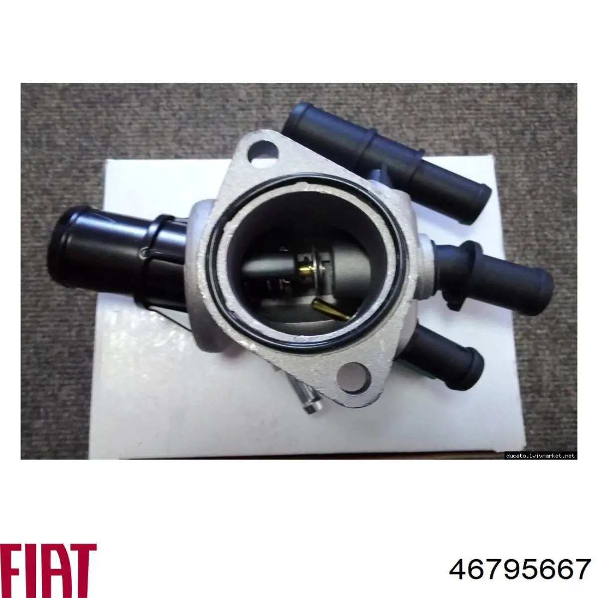Compre 46795667 Fiat/Alfa/Lancia Caixa do termostato