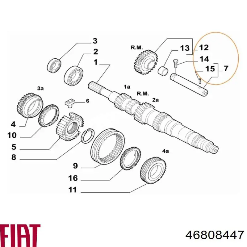 Roda dentada da árvore primária da Caixa de Mudança Fiat/Alfa/Lancia 46808447 preço, a partir de 117,55 USD