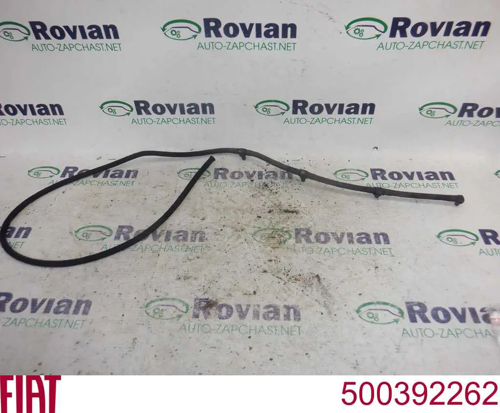 500392262 Fiat/Alfa/Lancia Tubo de combustível, inverso desde os injetores