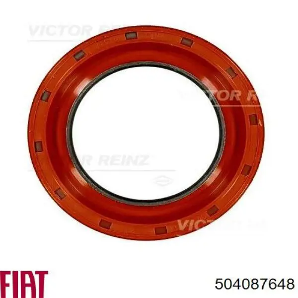 Compre 504087648 Iveco Vedação dianteira de cambota de motor