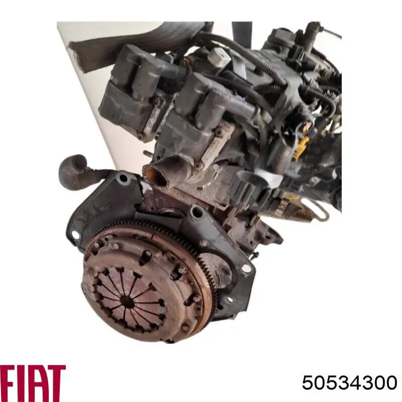 Compre 50534300 Fiat/Alfa/Lancia Radiador de esfriamento de motor