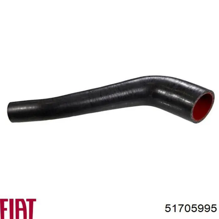 51705995 Fiat/Alfa/Lancia Mangueira (cano derivado) de intercooler