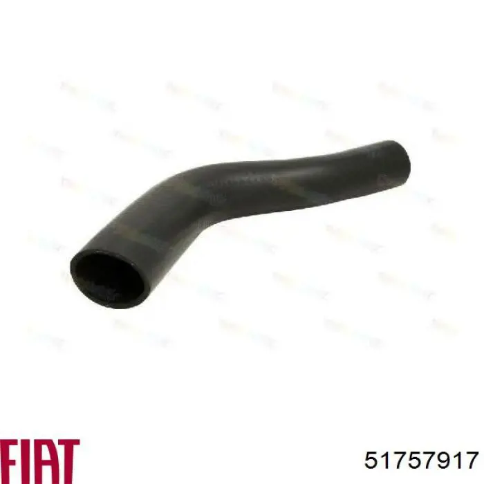 Compre 51757917 Fiat/Alfa/Lancia Mangueira (cano derivado) de intercooler