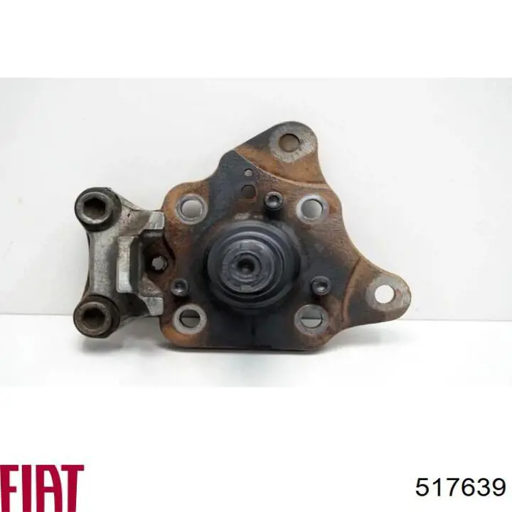 517639 Peugeot/Citroen Pino moente (extremidade do eixo) traseiro direito