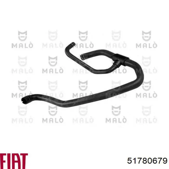 Mangueira (cano derivado) inferior do radiador de esfriamento Fiat/Alfa/Lancia 51780679