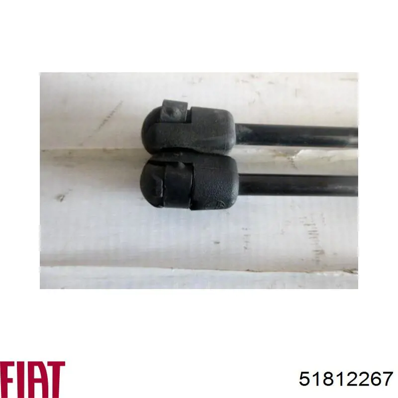 51812267 Fiat/Alfa/Lancia Amortecedor de tampa de porta-malas (de 3ª/5ª porta traseira)