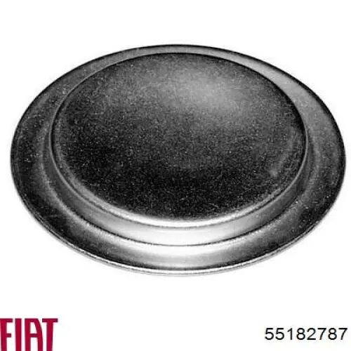 Compre 55182787 Fiat/Alfa/Lancia Tampão CBC/do bloco de cilindros