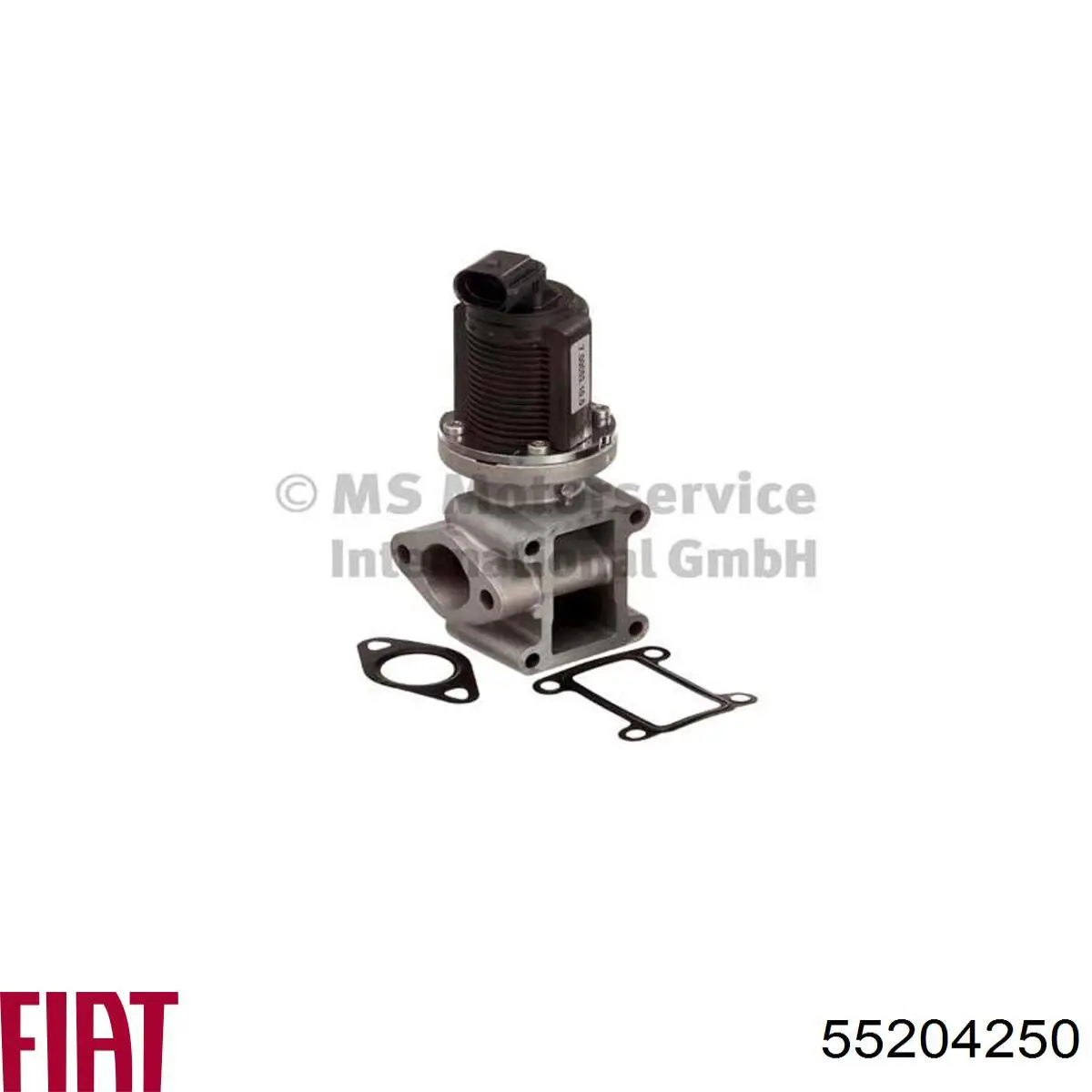 Compre 55204250 Fiat/Alfa/Lancia Válvula EGR de recirculação dos gases