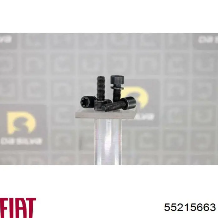 Parafuso da polia de cambota Fiat/Alfa/Lancia 46441027 preço, a partir de 23,73 USD
