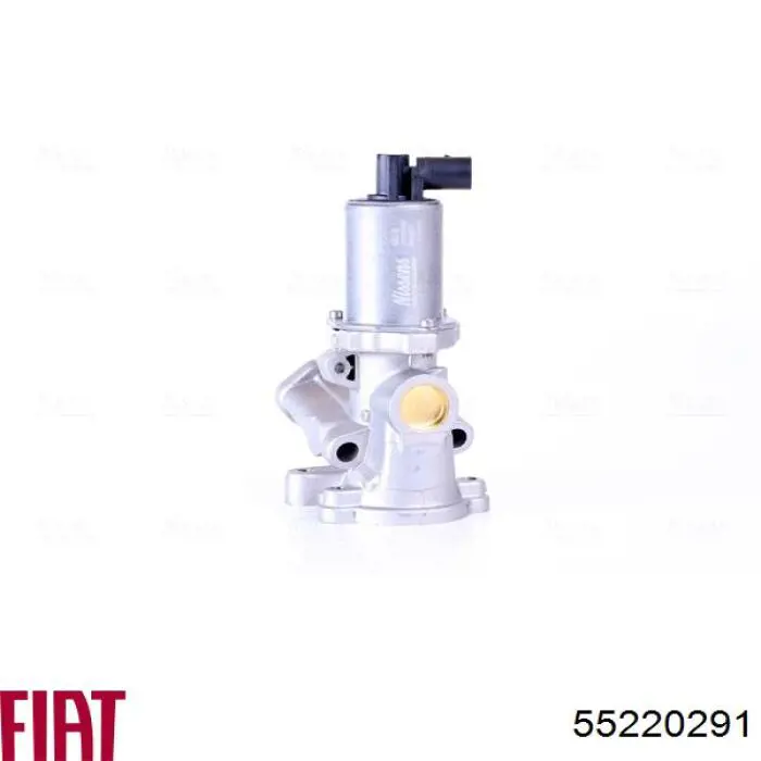 Compre 55220291 Fiat/Alfa/Lancia Válvula EGR de recirculação dos gases