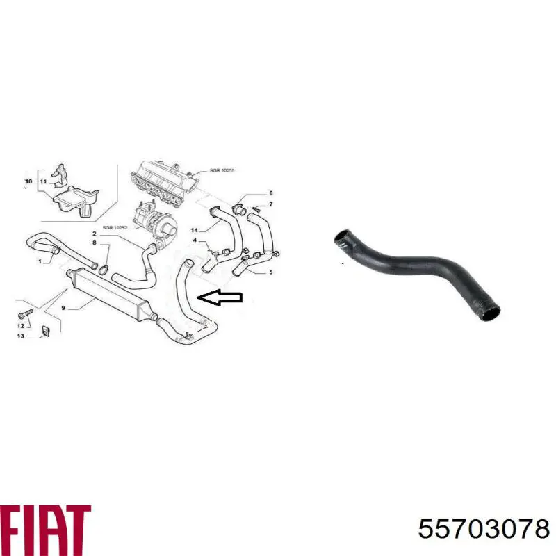55703078 Fiat/Alfa/Lancia Mangueira (cano derivado) de intercooler