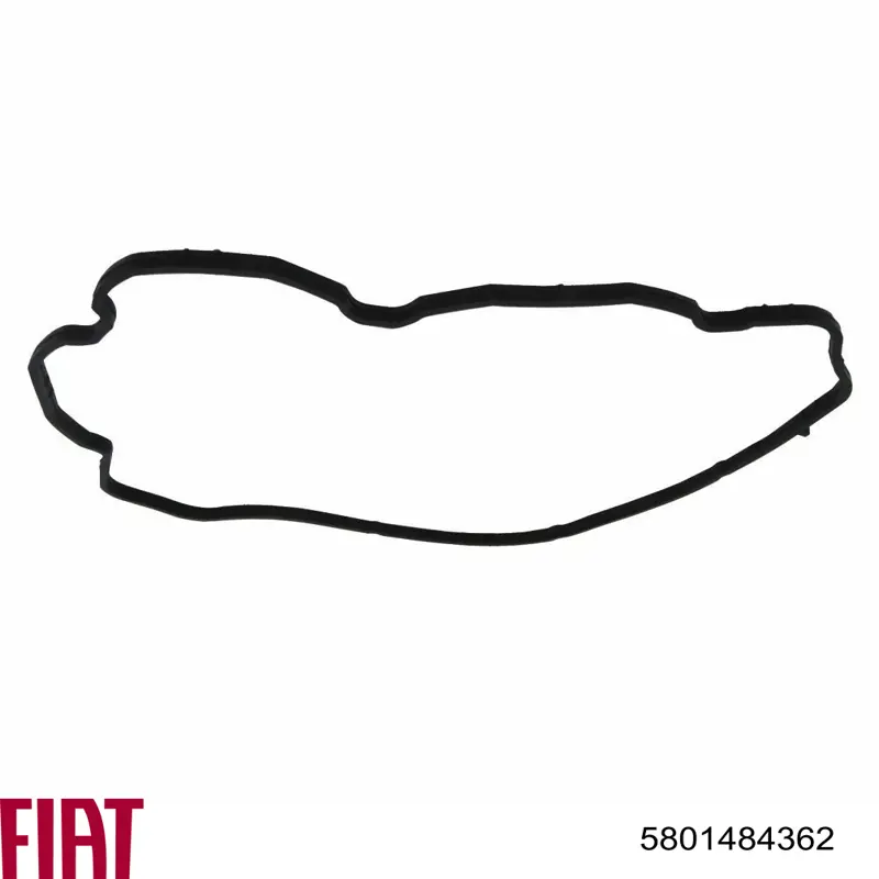 Vedante de tubo coletor de admissão Fiat/Alfa/Lancia 5801484362