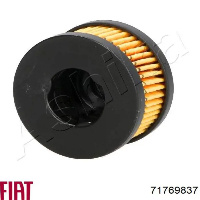 Compre 71769837 Fiat/Alfa/Lancia Filtro de combustível