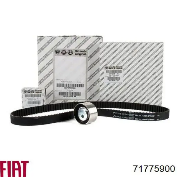 71775900 Fiat/Alfa/Lancia Correia do mecanismo de distribuição de gás, kit