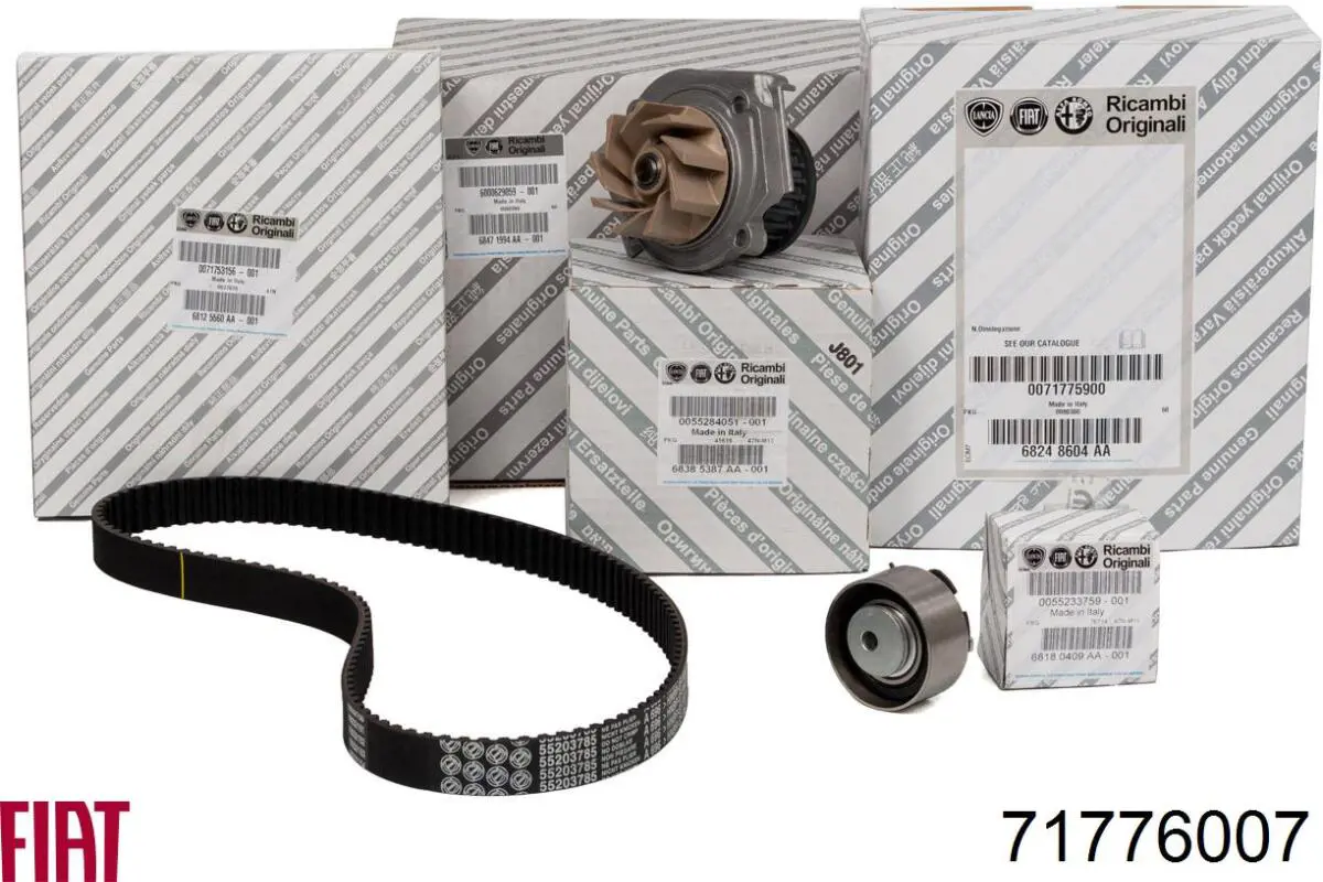 Compre 71776007 Fiat/Alfa/Lancia Correia do mecanismo de distribuição de gás, kit