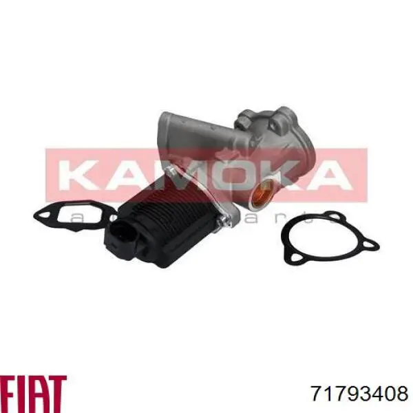 Compre 71793408 Fiat/Alfa/Lancia Válvula EGR de recirculação dos gases