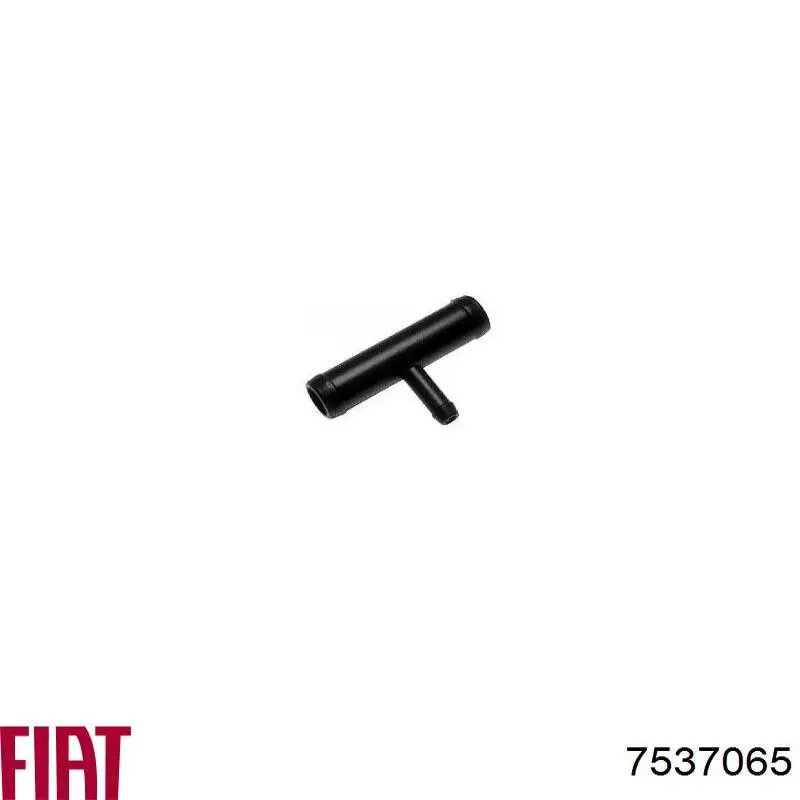 955031 Cautex 