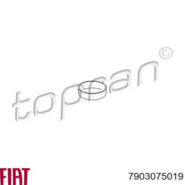 Compre 0000023403 Peugeot/Citroen Tampão CBC/do bloco de cilindros