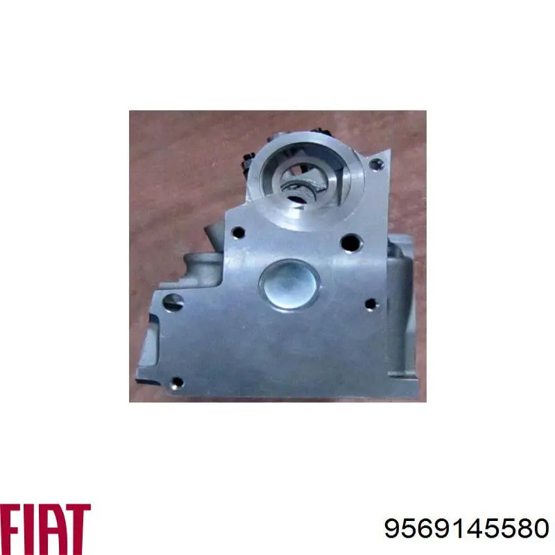 9569145580 Fiat/Alfa/Lancia Cabeça de motor (CBC)